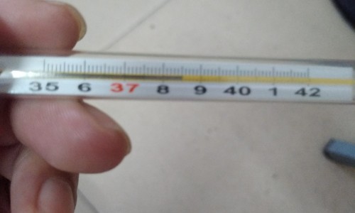 怎么减少脂肪最快最有效-怎么减少身体的脂肪含量网 - 如何降低身体脂肪率,如何降低身体脂肪率